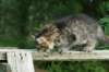 img_5623_small.jpg