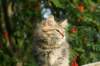 img_7414_small.jpg