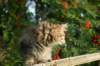 img_7415_small.jpg
