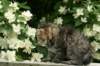 img_4801_small.jpg