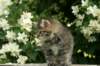 img_4811_small.jpg
