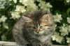 img_4832_small.jpg