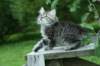 img_6692_small.jpg