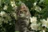 img_4400_small.jpg
