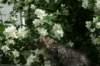 img_4429_small.jpg