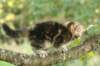 img_1573_small.jpg
