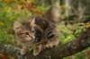 img_4401_small.jpg