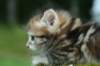 img_8814_small.jpg