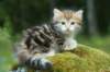 img_8847_small.jpg