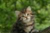 img_9958_small.jpg