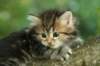 img_8655_small.jpg