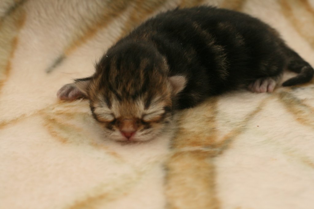 kenasboy4days2562013.jpg