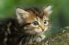img_8963_small.jpg