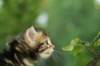 img_8965_small.jpg