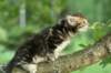 img_8968_small.jpg