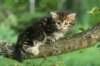 img_8972_small.jpg