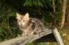 img_2610_small.jpg