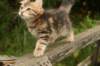img_2611_small.jpg