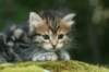 img_8912_small.jpg