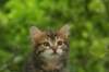 img_1012_small.jpg