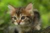 img_1023_small.jpg