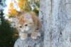 kadmielimg_232011_small.jpg
