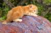 img_7182_small.jpg