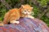 img_7183_small.jpg