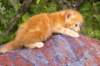 img_7185_small.jpg