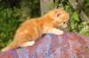 img_7189_small.jpg