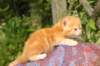 img_7190_small.jpg