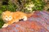 img_7200_small.jpg