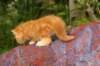 img_7206_small.jpg