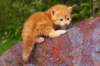 img_7208_small.jpg