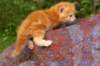 img_7209_small.jpg