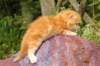 img_7213_small.jpg