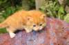 img_7216_small.jpg