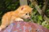 img_7217_small.jpg