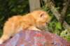 img_7218_small.jpg