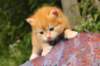 img_7219_small.jpg