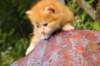 img_7220_small.jpg