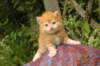 img_7241_small.jpg