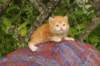 img_7243_small.jpg