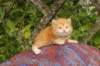img_7244_small.jpg