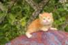 img_7245_small.jpg