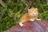 img_7246_small.jpg