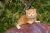 img_7247_small.jpg