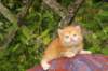 img_7248_small.jpg