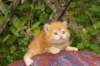 img_7249_small.jpg