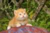 img_7250_small.jpg